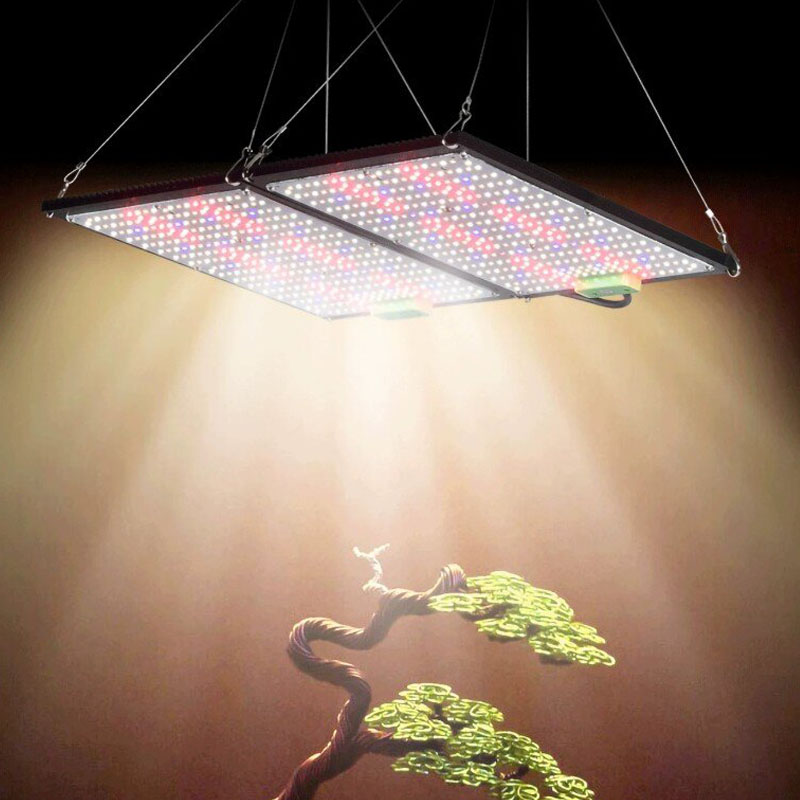 LED Quantum‑Board Grow Light F - đánh giá và giá Plant Grow Light Full Spectrum