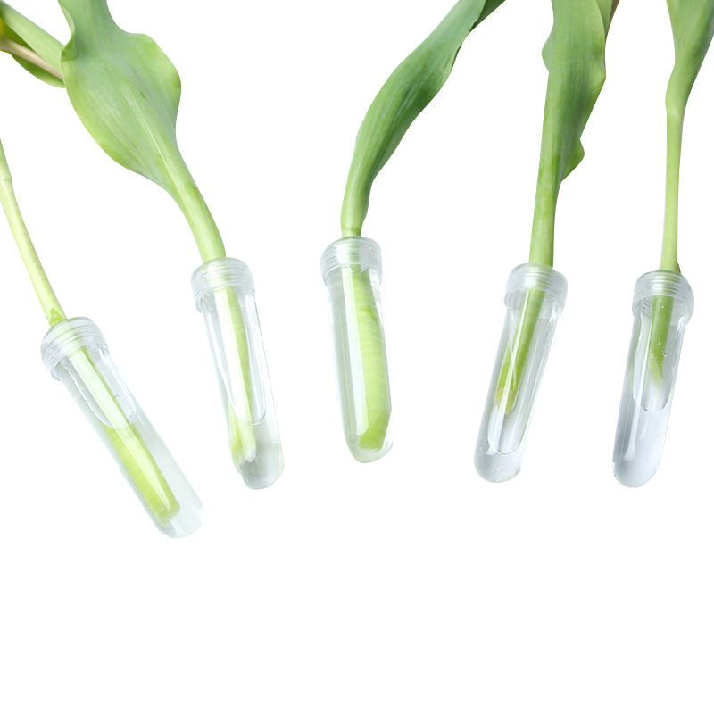 20Pcs Plastic Fresh Flower Nut - đánh giá và giá Hydroponic Grow Pod