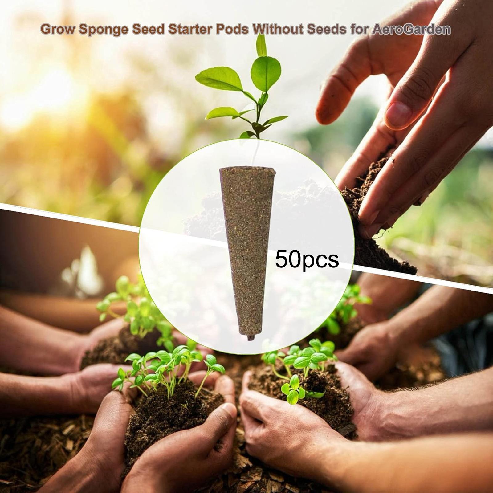 50Pcs Grow Sponges Root Growth - đánh giá và giá Hydroponic Grow Pod