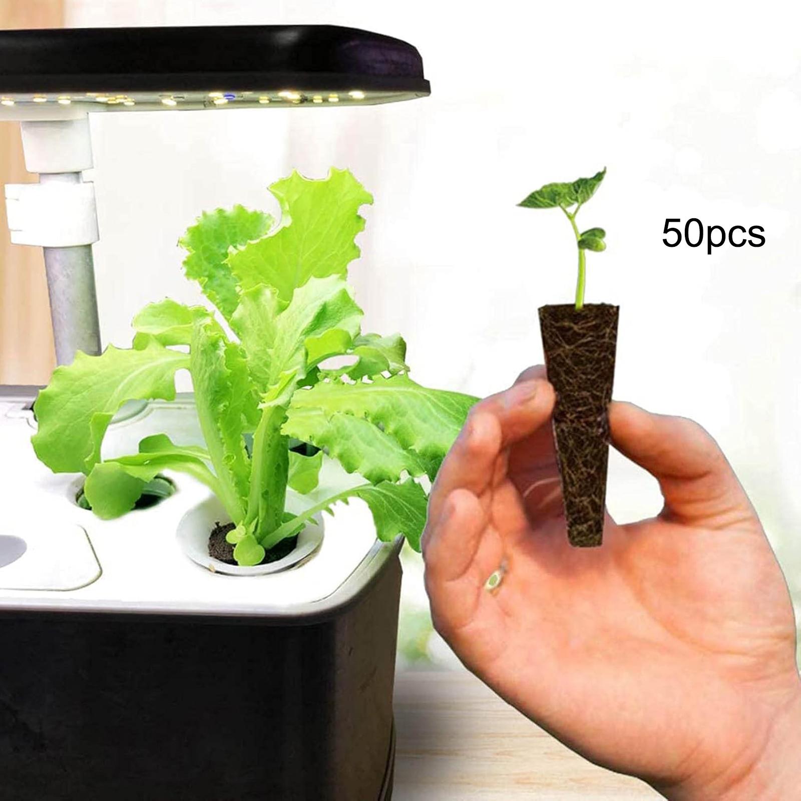 50Pcs Grow Sponges Root Growth - đánh giá và giá Hydroponic Grow Pod