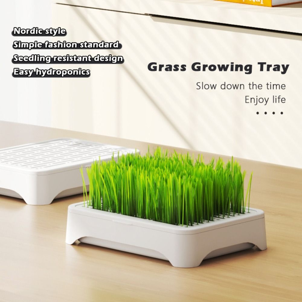 Plastic Hydroponic Seeding Tra - đánh giá và giá Hydroponic Grow Pod