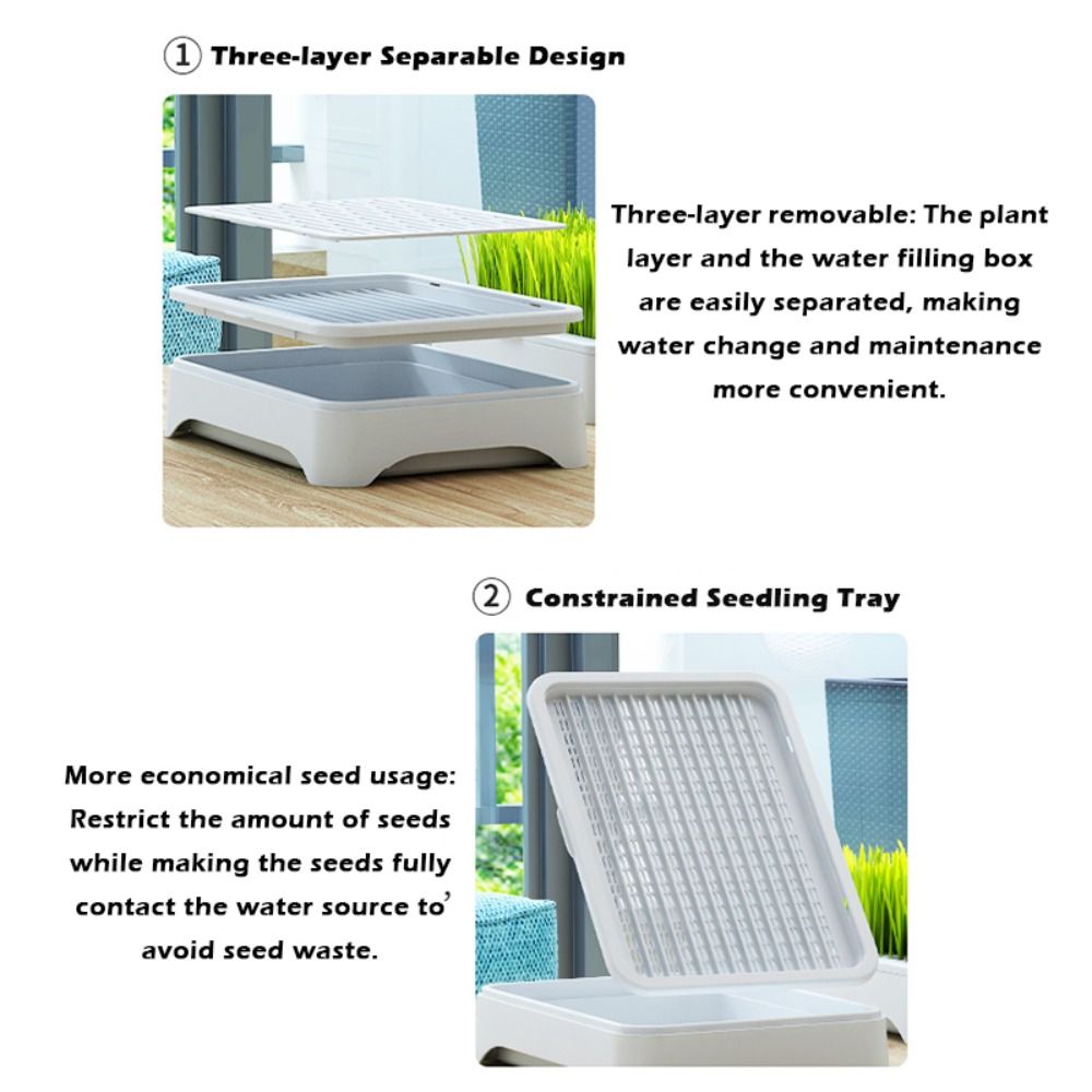 Plastic Hydroponic Seeding Tra - đánh giá và giá Hydroponic Grow Pod
