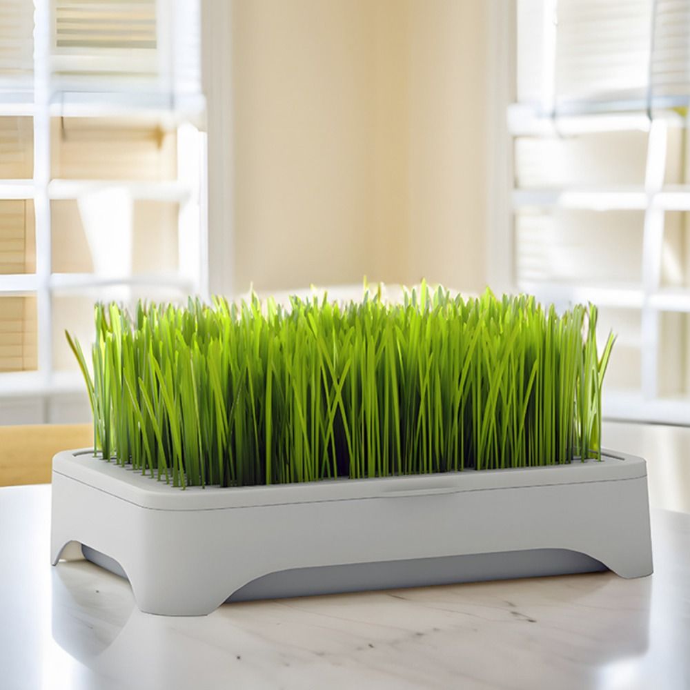 Plastic Hydroponic Seeding Tra - đánh giá và giá Hydroponic Grow Pod