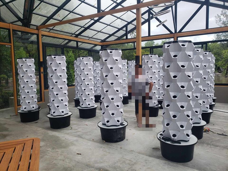 Greenhouse Vertical Farming Hy - đánh giá và giá Hydroponic Tower