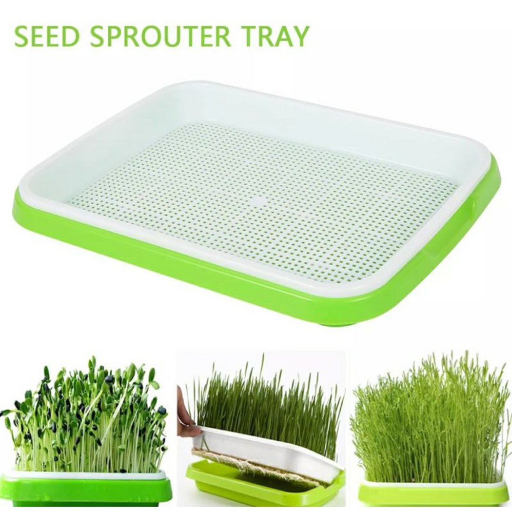 Microgreens Sprouter Tray Hydr - đánh giá và giá Hydroponic Grow Pod