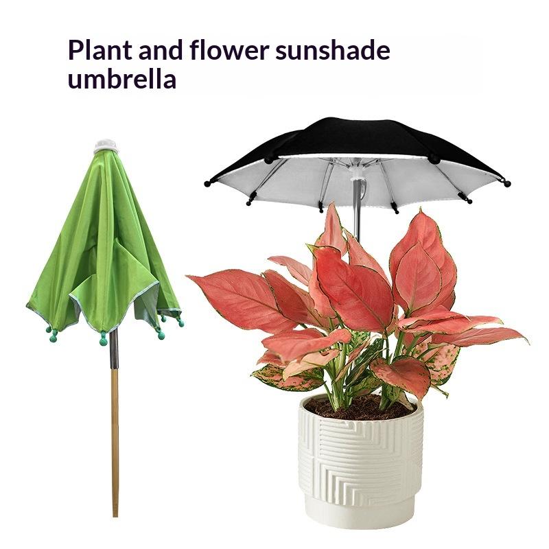 Adjustable Height Plant Umbrel - đánh giá và giá Plant Monitor