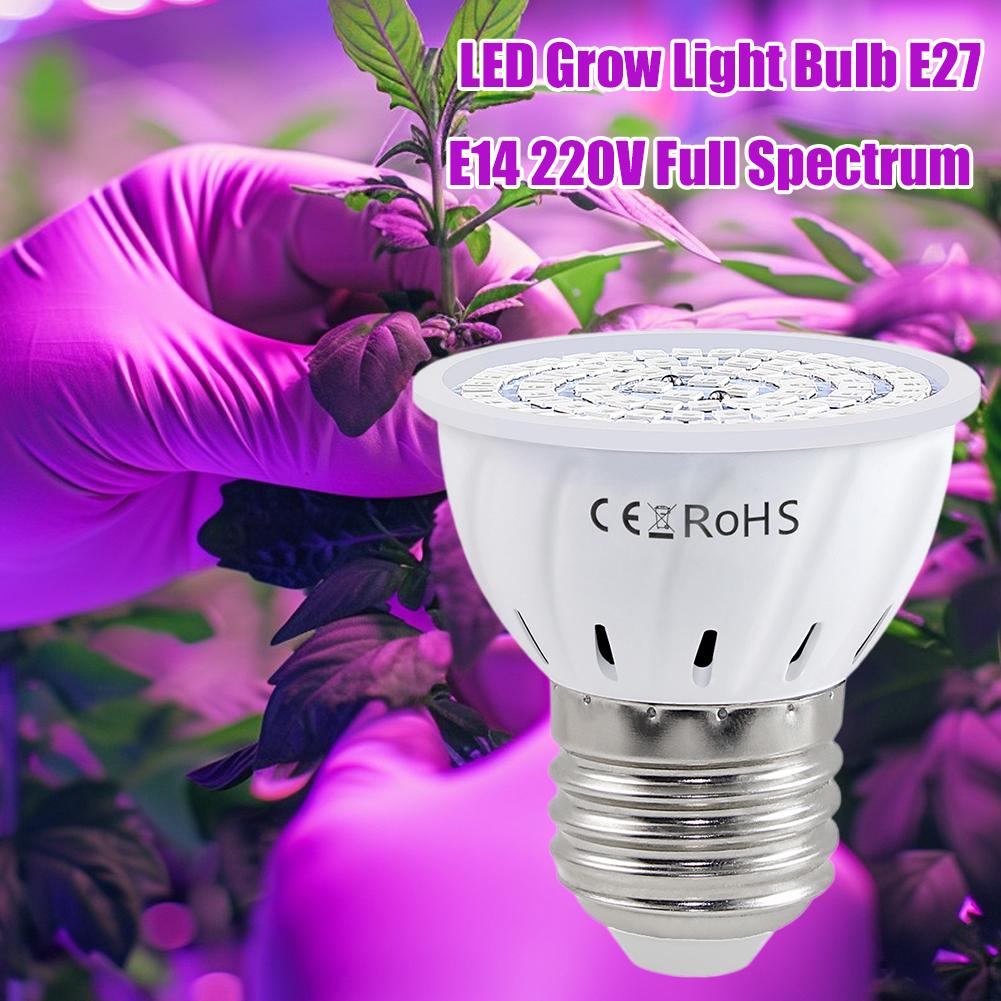 LED Grow Bulb E27 60 80LEDs Fu - đánh giá và giá Plant Grow Light Full Spectrum