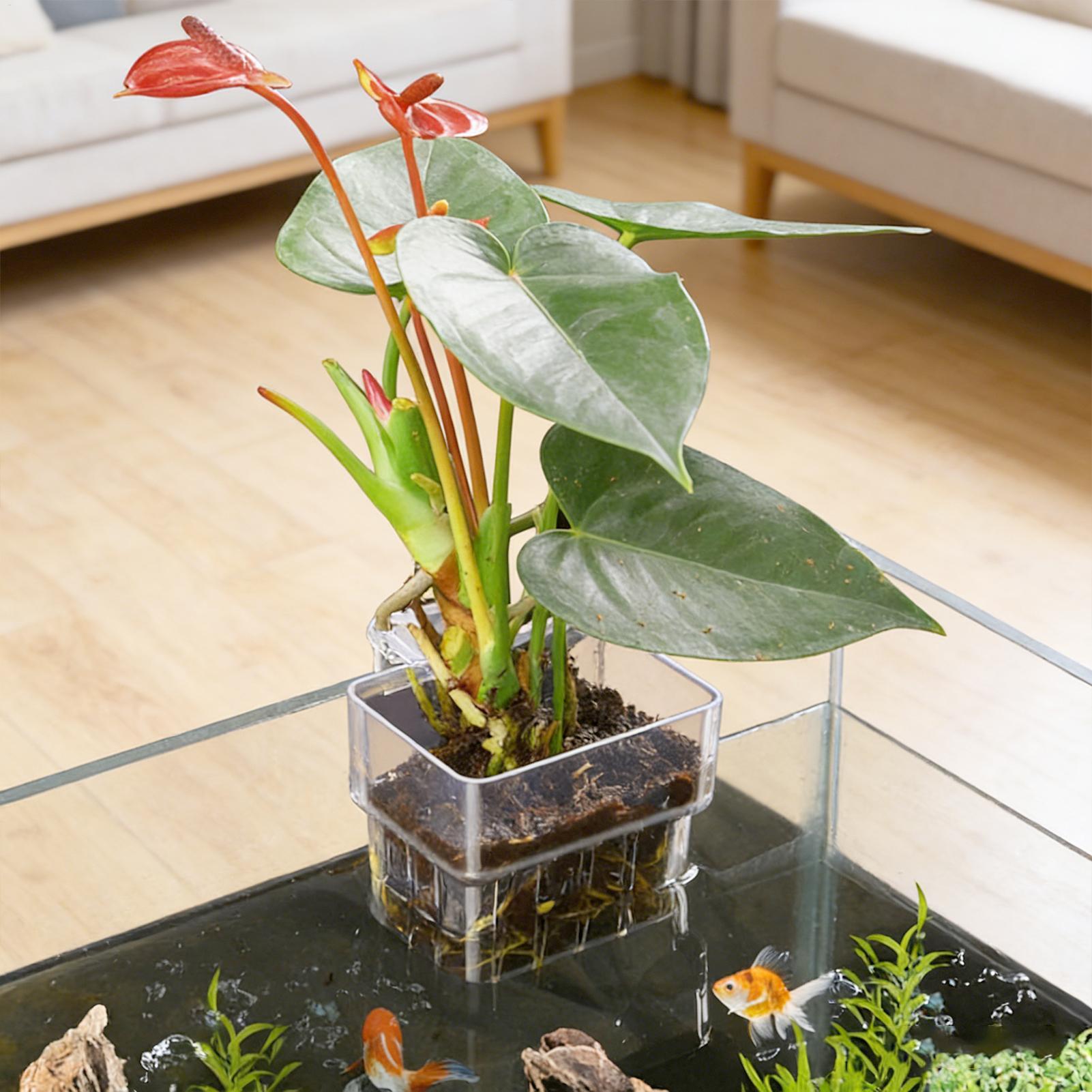 Transparent Hangable Aquarium  - đánh giá và giá Hydroponic Grow Pod