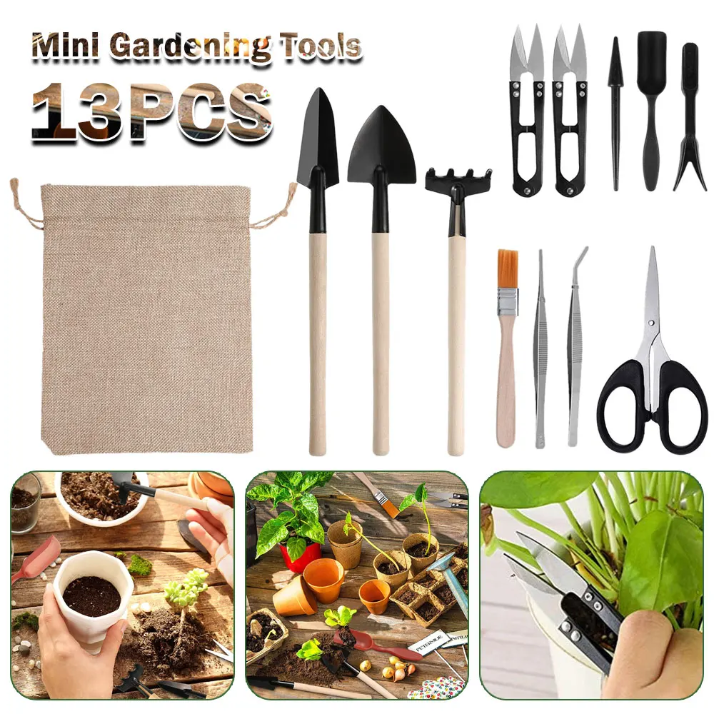 13PCS Succulent Plants Tool Se - đánh giá và giá Indoor Garden Kit