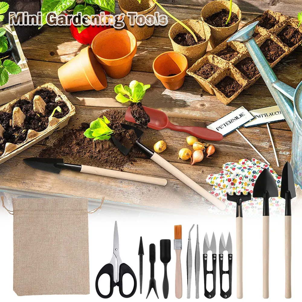 13PCS Succulent Plants Tool Se - đánh giá và giá Indoor Garden Kit