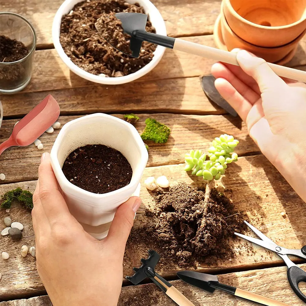 13PCS Succulent Plants Tool Se - đánh giá và giá Indoor Garden Kit