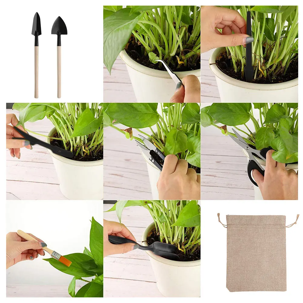 13PCS Succulent Plants Tool Se - đánh giá và giá Indoor Garden Kit