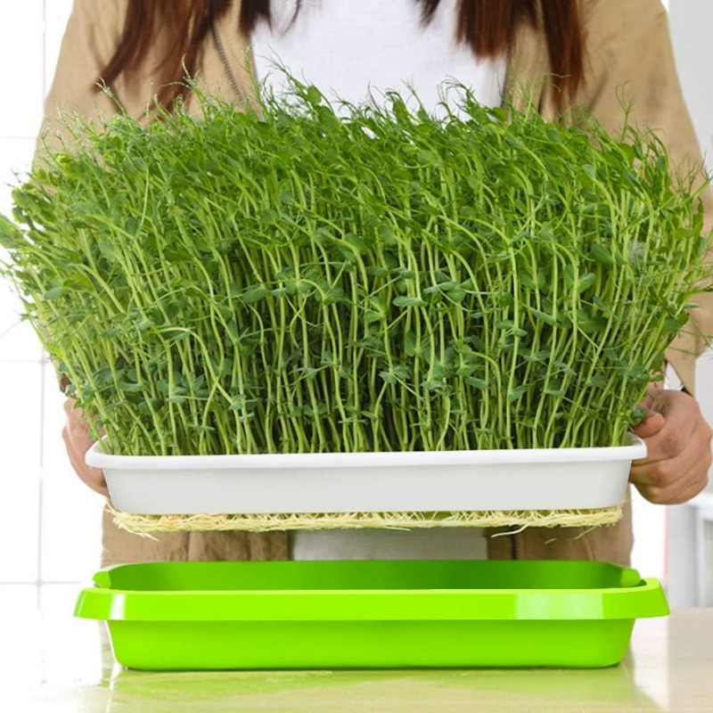 Microgreens Sprout Tray Germin - đánh giá và giá Hydroponic Grow Pod