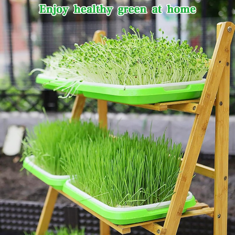 Microgreens Sprout Tray Germin - đánh giá và giá Hydroponic Grow Pod