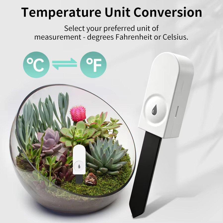 Zigbee 3.0 Plant Monitor Soil  - đánh giá và giá Plant Monitor