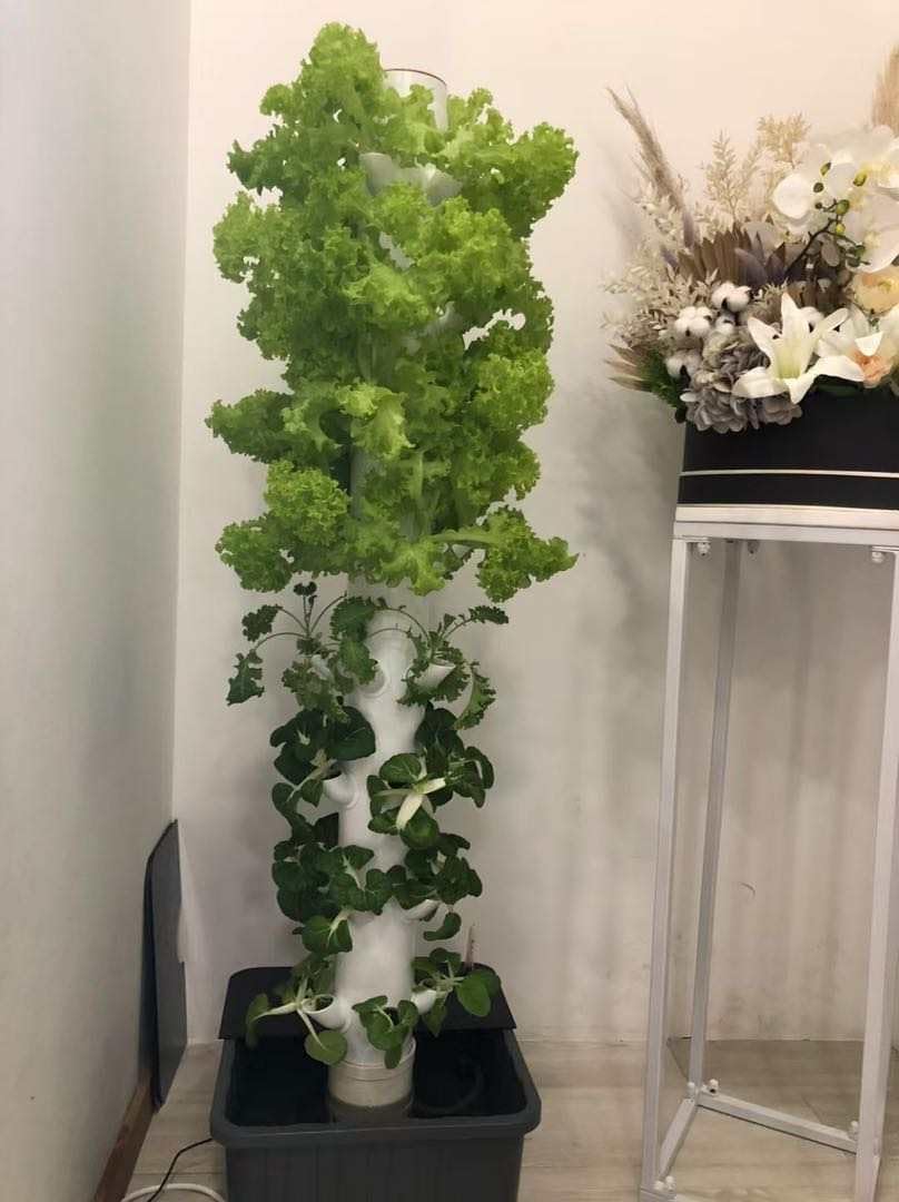 Vertical Hydroponic Grow Tower - đánh giá và giá Hydroponic Tower