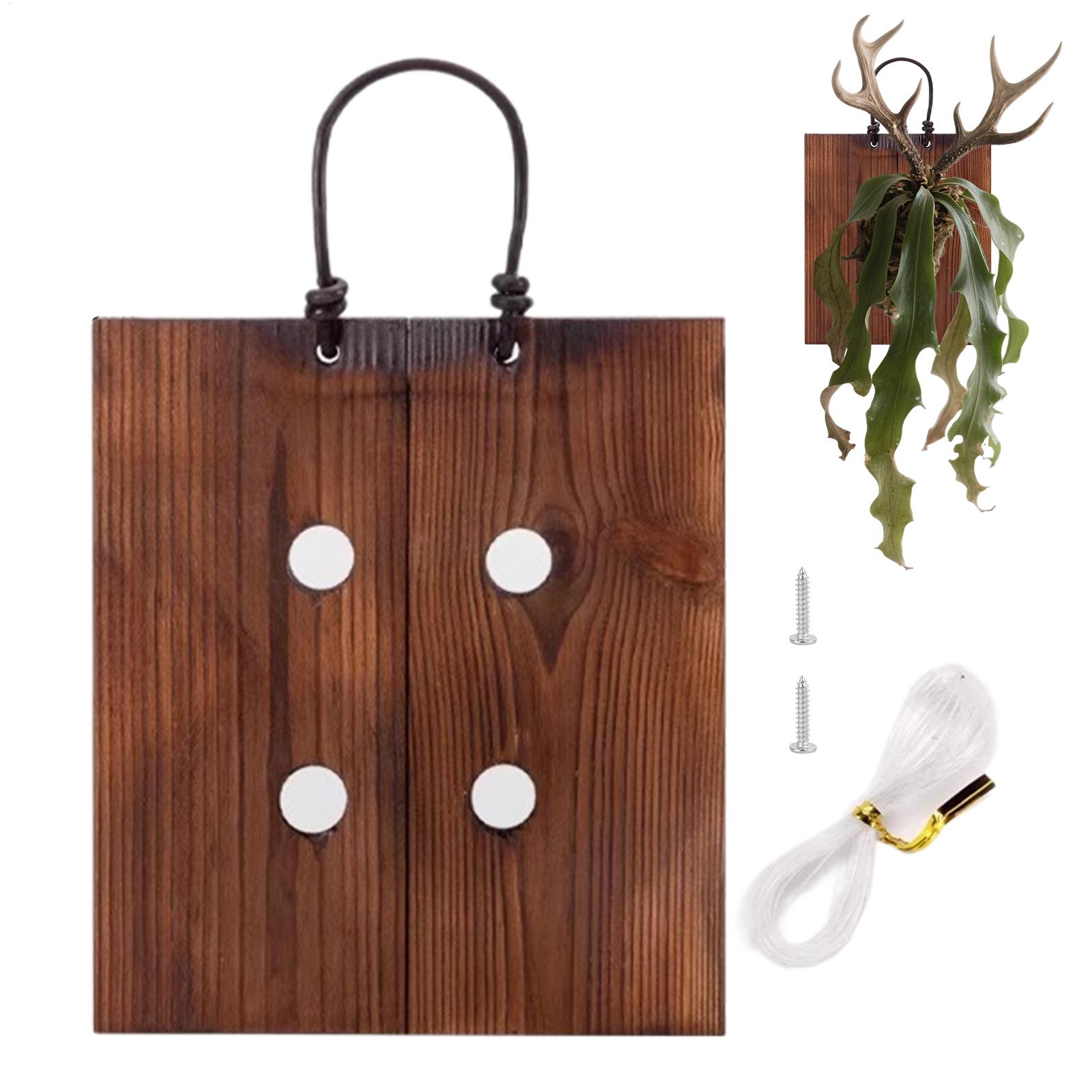 Staghorn Fern Wall Mount Board - đánh giá và giá Indoor Garden Kit