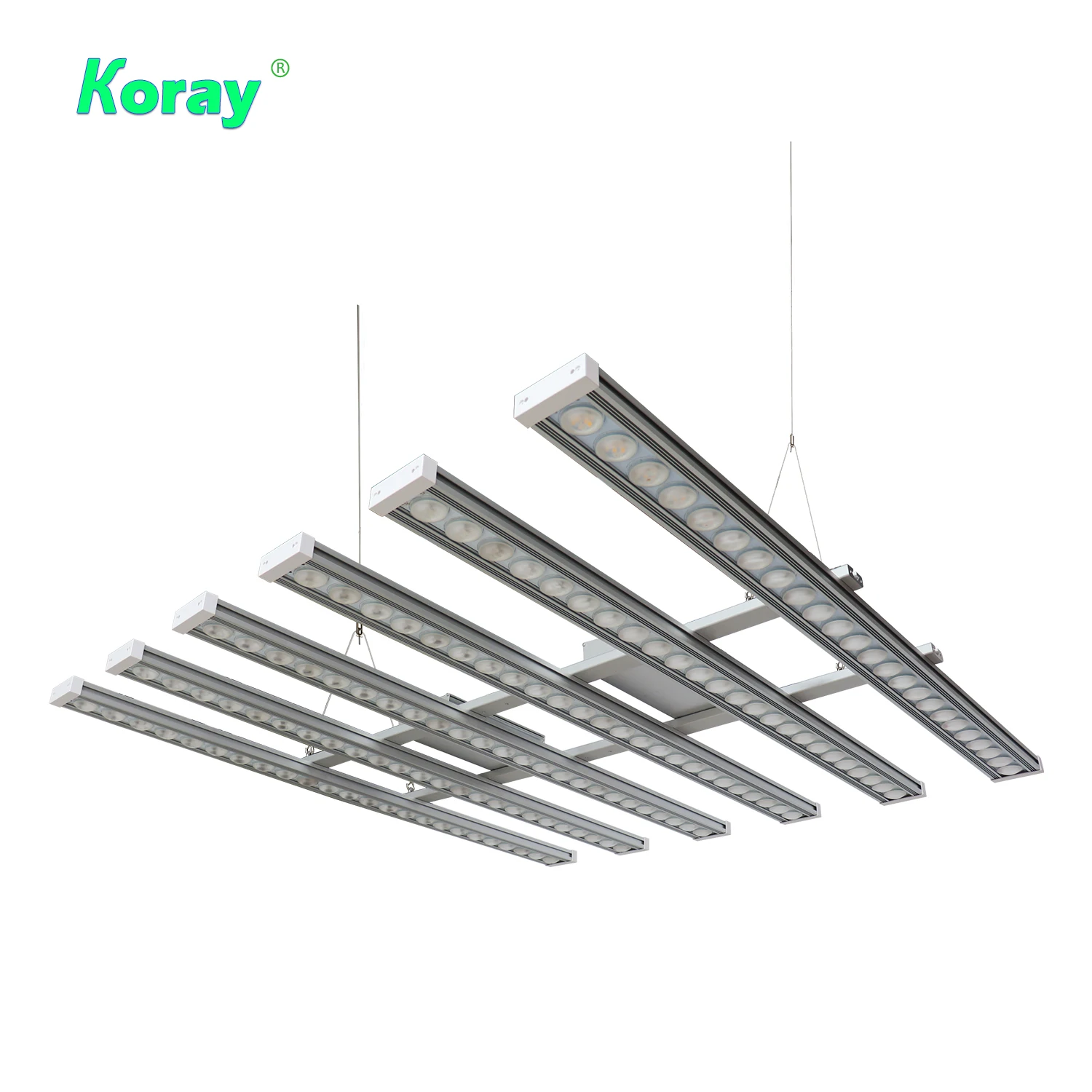 Koray 900W Indoor full spectru - đánh giá và giá Plant Grow Light Full Spectrum