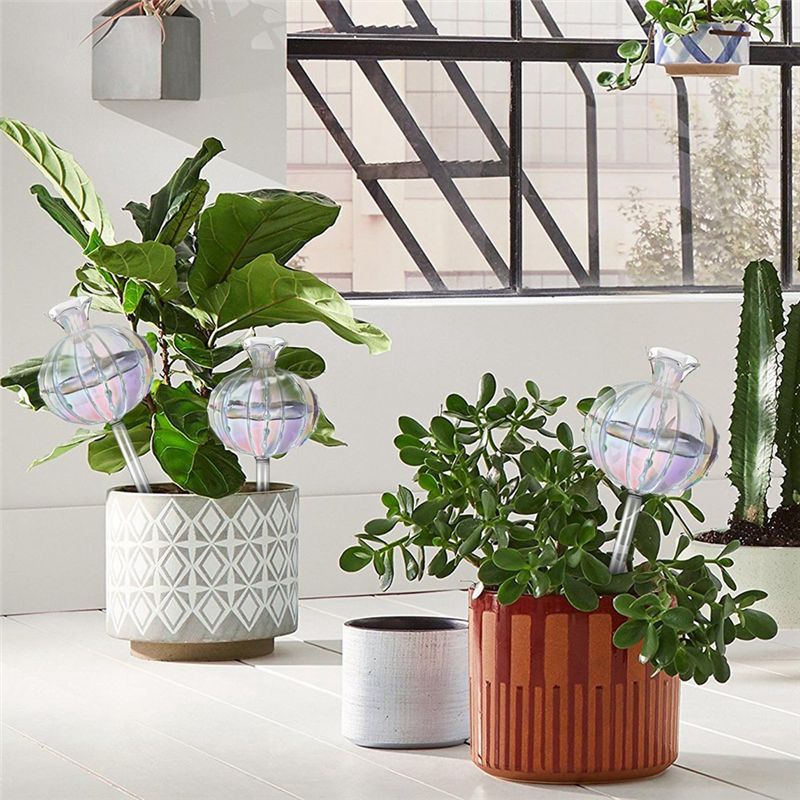 AA94-Plant Watering Bulbs Plan - đánh giá và giá Self Watering Planter